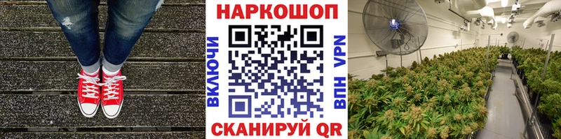 Где найти наркотики Бузулук ОМГ ОМГ зеркало  МЕФ  Alpha-PVP  ГАШИШ  Cocaine  Канабис  Псилоцибиновые грибы 