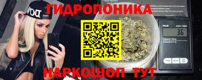 PSILOCYBIN Бугуруслан