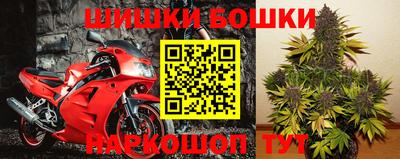 молекула духа Балахна