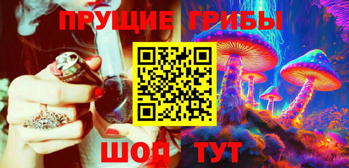 Псилоцибиновые грибы Cubensis Бузулук