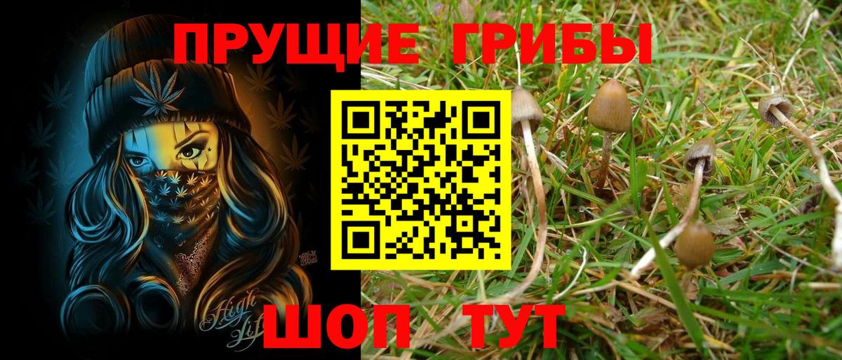 Галлюциногенные грибы Cubensis Бузулук