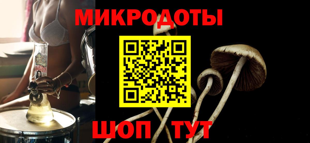 Галлюциногенные грибы Psilocybe  Бузулук  Псилоцибиновые грибы мицелий 